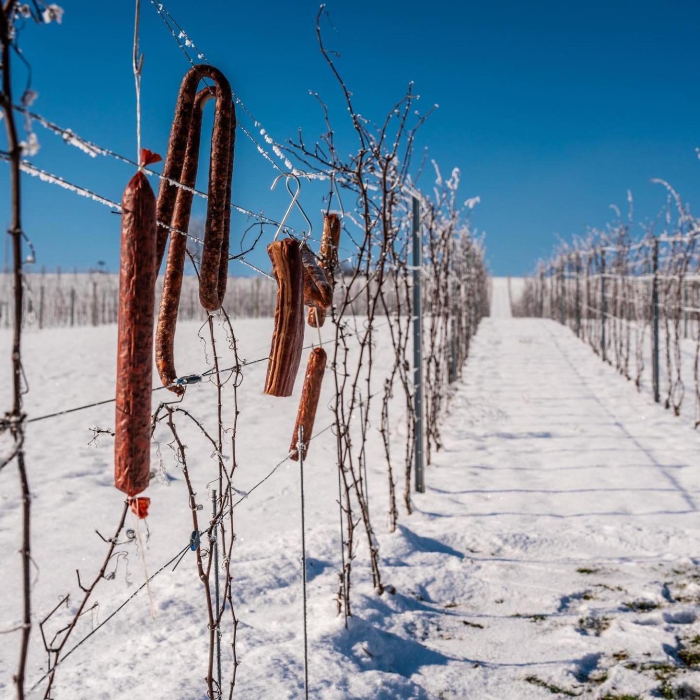 Bed&Breakfast Vinarija Coner Б'єловар Екстер'єр фото